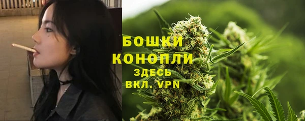 хмурый Богородицк