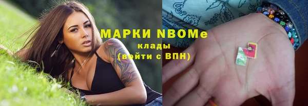 тгк Бородино