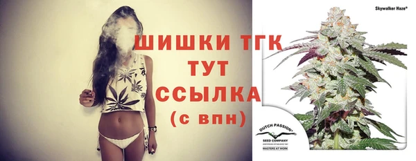 мдпв Семилуки