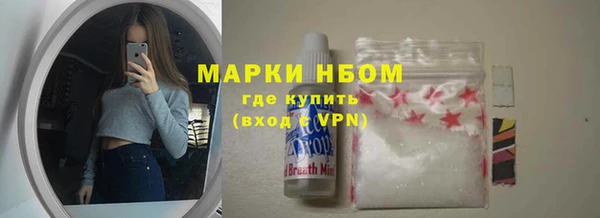 тгк Бородино