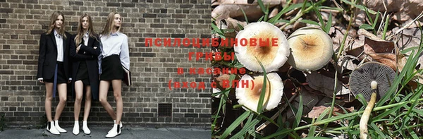 бошки Бугульма