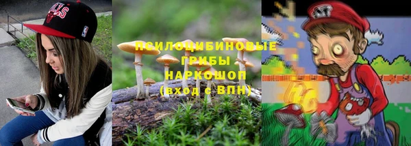 тгк Бородино