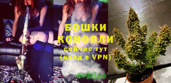 тгк Бородино
